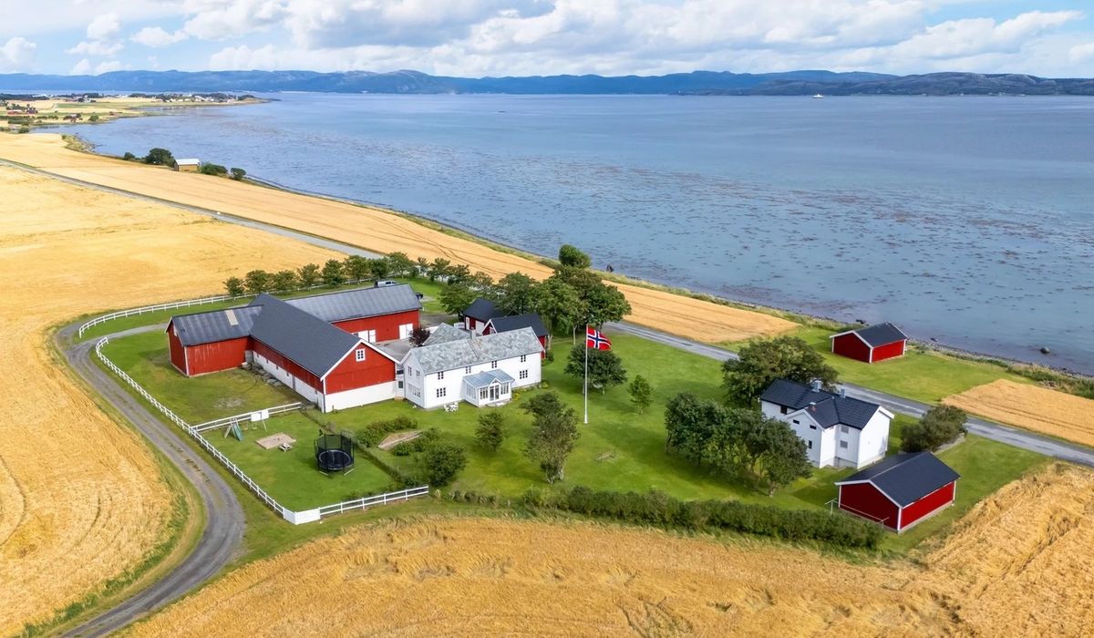 Kan knuse prisre­kord: – Ikke for hvermannsen