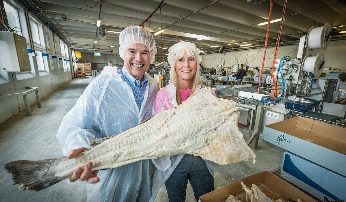 (+) Nye tall: Ålesund på topp - smp.no