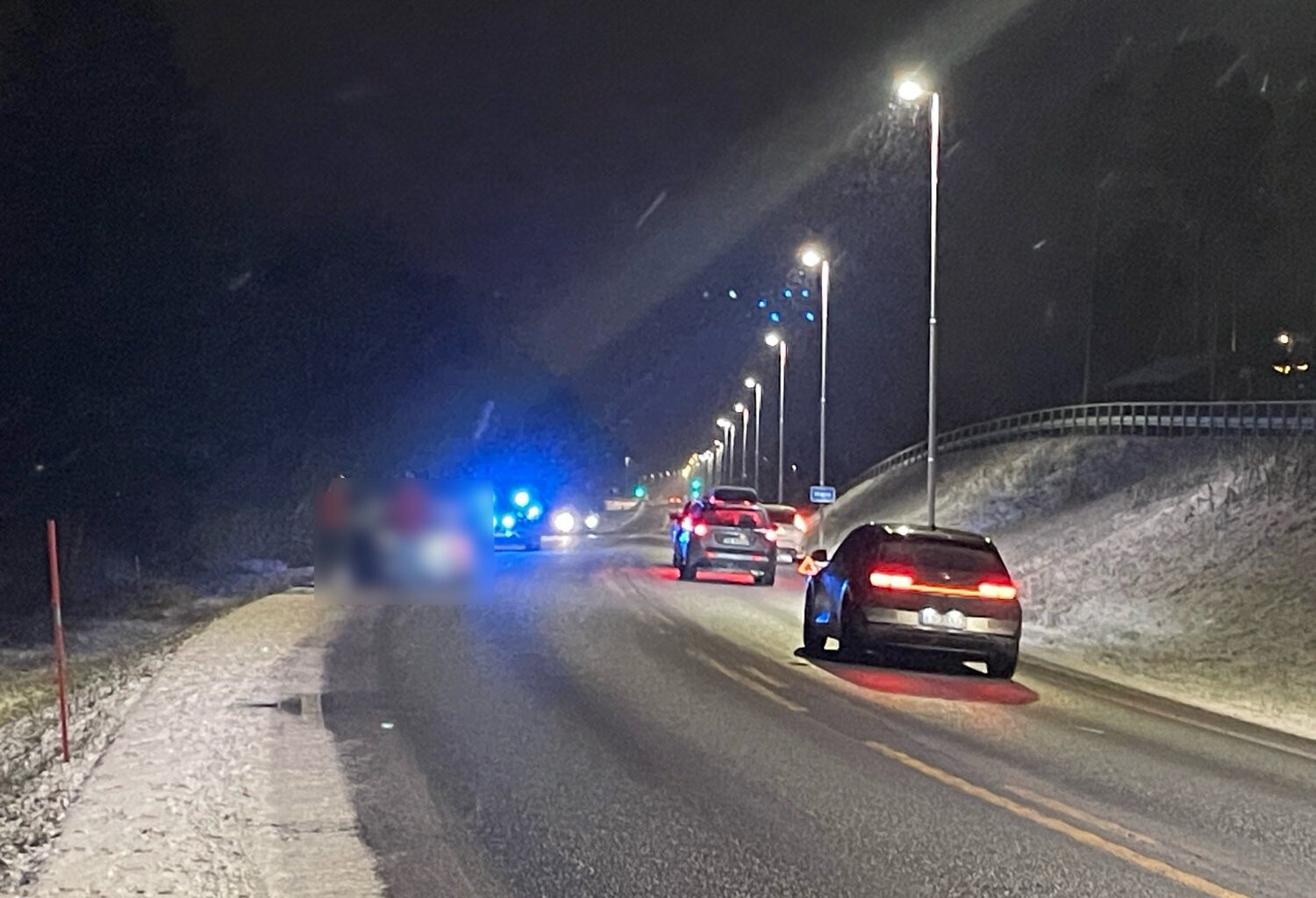 Steinkjer, Trafikk | Elgpåkjørsel på E6 i Steinkjer