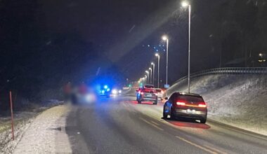 Steinkjer, Trafikk | Elgpåkjørsel på E6 i Steinkjer