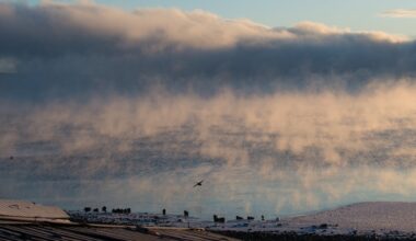 Vær, Gjøvik | Nå snur været – advarer om glatte veier