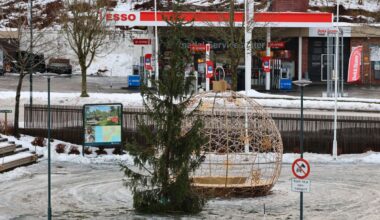 Skjebnen til juletreet er nå avgjort - dette sier de som står bak - driva.no