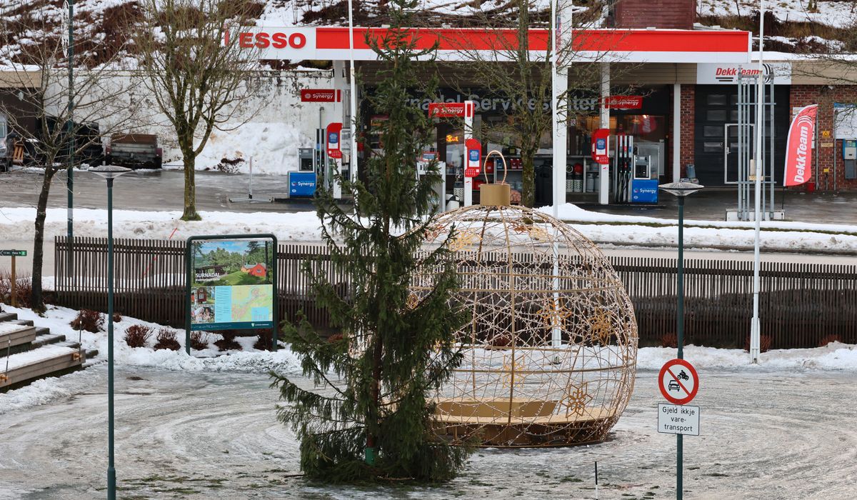 Skjebnen til juletreet er nå avgjort - dette sier de som står bak - driva.no