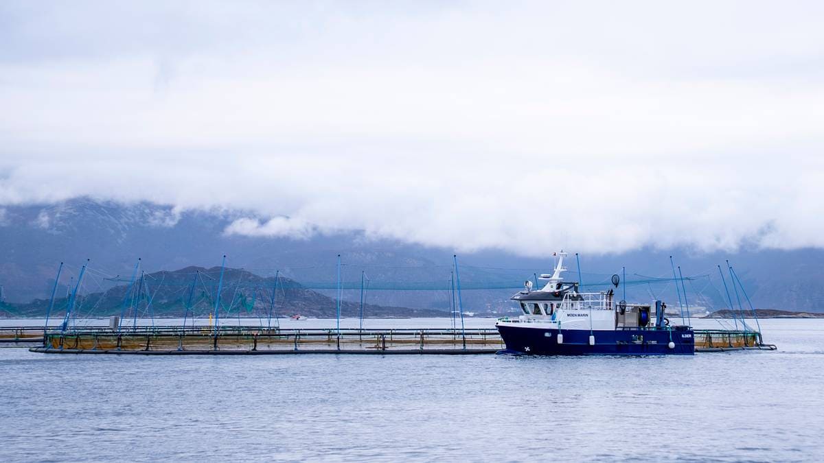 Oppdrettsanlegget til Mowi ved Vigra i Giske kommune.