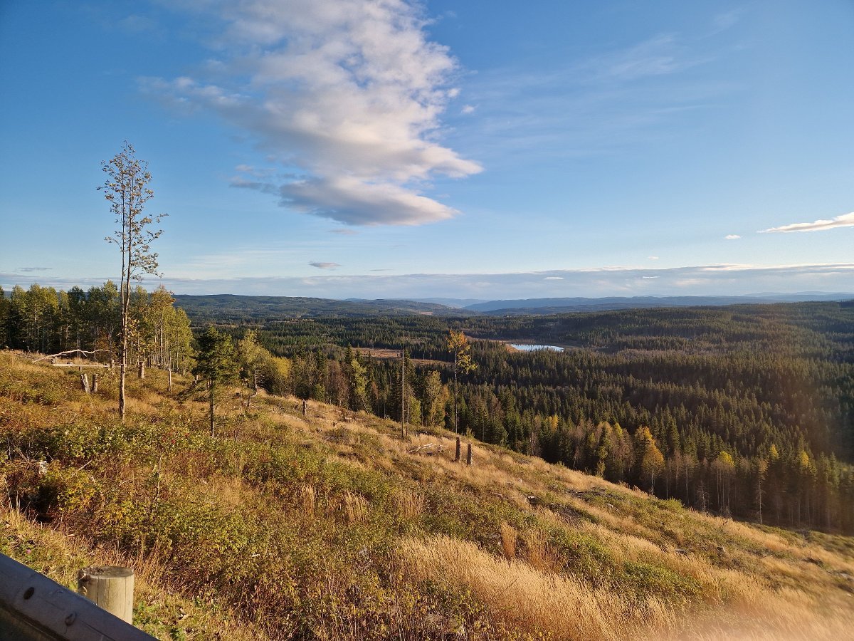 (+) Får bygge solkraftverk på kubeite – bønder mener det vil true drifta - Nationen