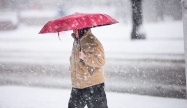 siste: Gjør deg klar: Holkealarm og temperaturhopp - VG