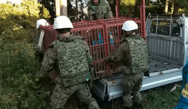 Japan sender militæret ut mot bjørner