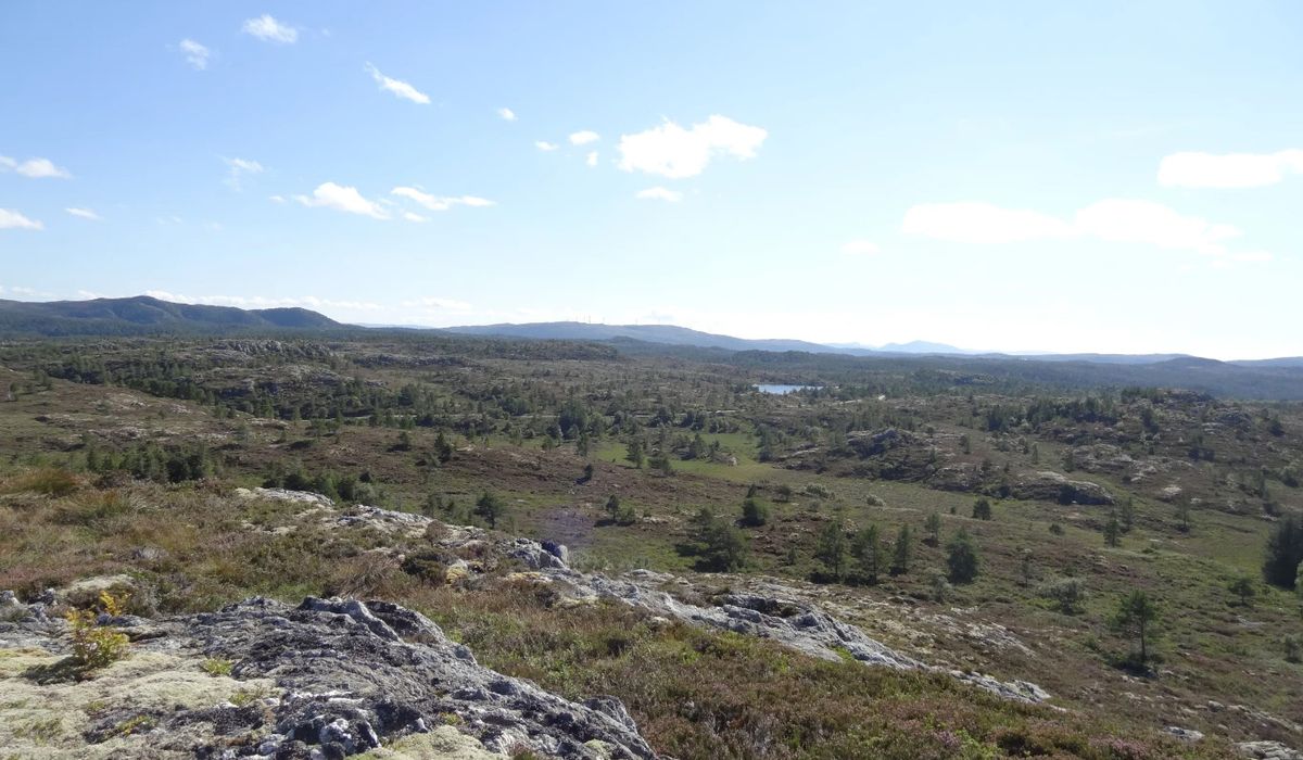 Nesten halvparten er rødlistet: – Under press