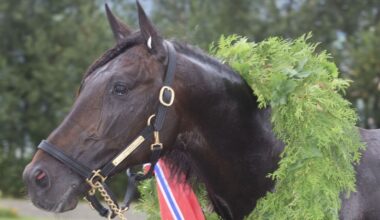 Papirtrøbbel stopper Charron – norsk på seremoniplass / – Det er ingen krise, sier GV