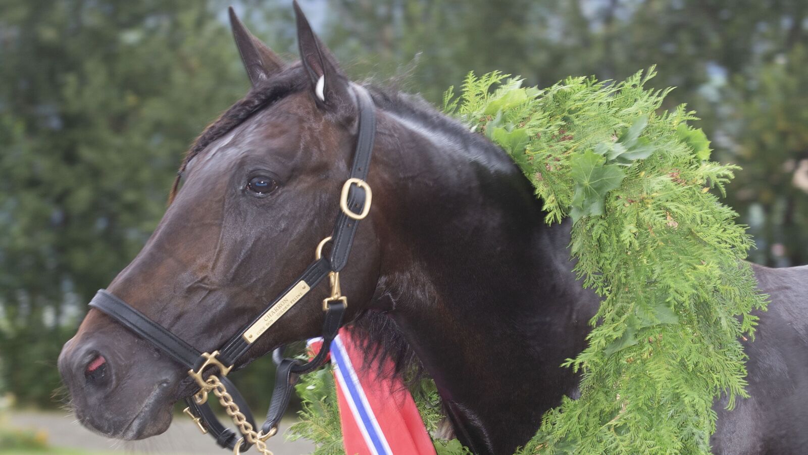 Papirtrøbbel stopper Charron – norsk på seremoniplass / – Det er ingen krise, sier GV