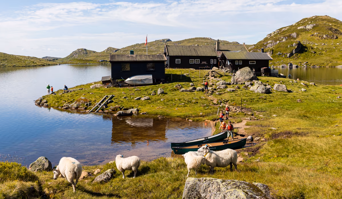(+) – Jeg håper vi kan få en rask avklaring - fvn.no