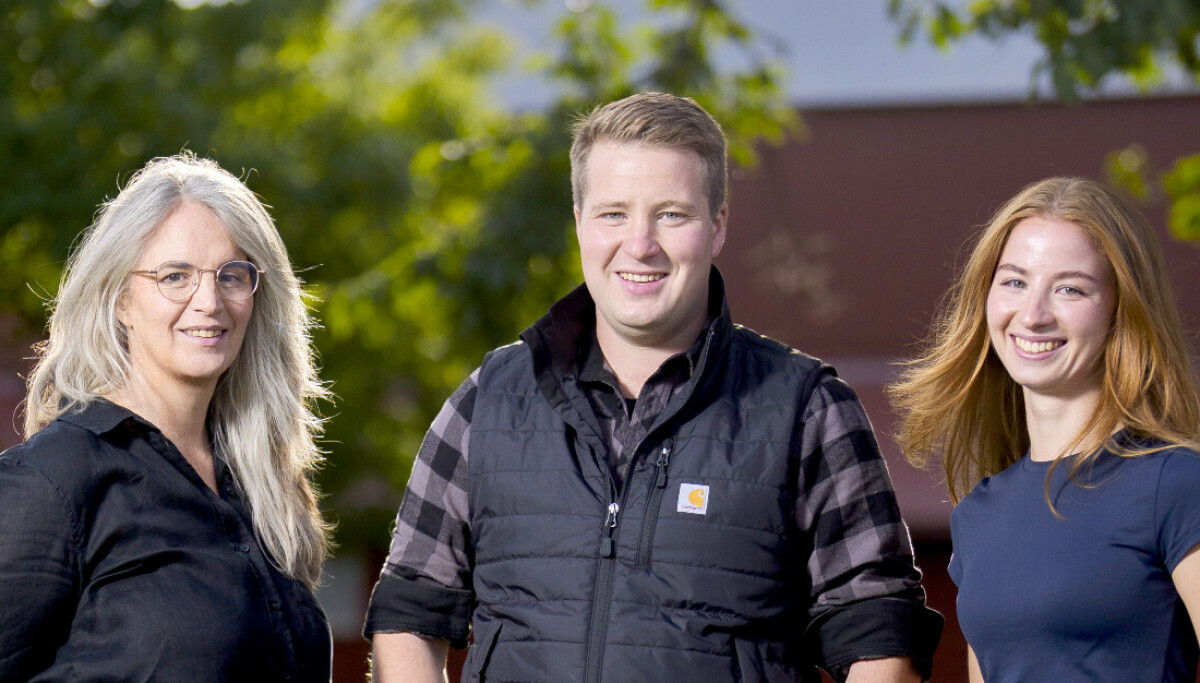 Magnus Mikkelhaug må finne den rette for å overta familiegården