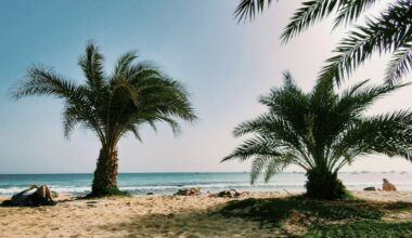 Stadig flere nordmenn reiser hit