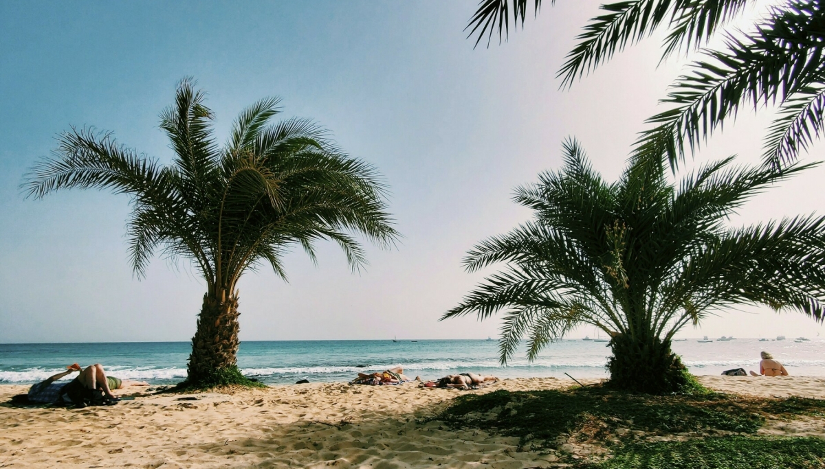 Stadig flere nordmenn reiser hit