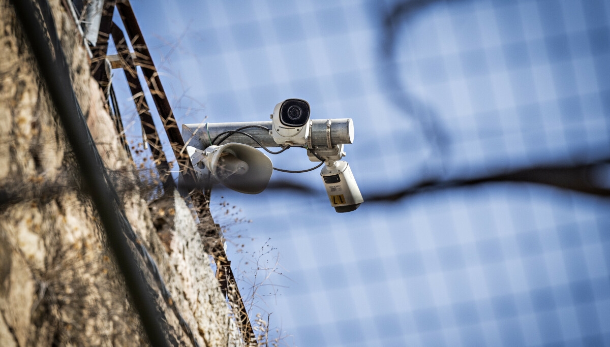 Tjener på skrekk-regime - Dagbladet