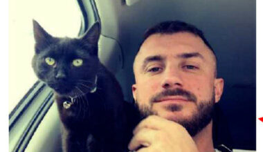 Foxtrot-toppens meldinger om Norge