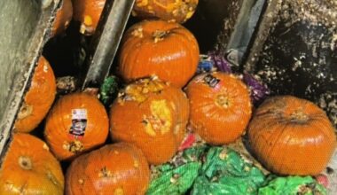 Kraftig advarsel: - Kan gjøre stor skade