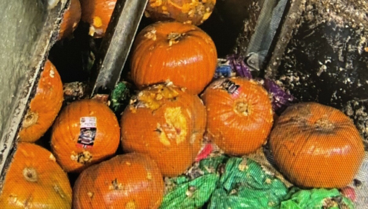 Kraftig advarsel: - Kan gjøre stor skade