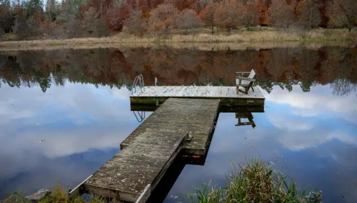 Kong Carl Gustafs 'ulovlige' badebrygge må rives, ifølge ny rapport