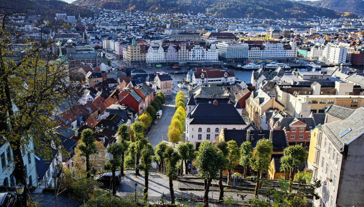 Voldshendelse i sentrum: - Framstår alvorlig - Dagbladet