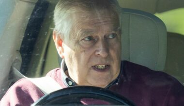 Prins Andrew: Nå ryker resten