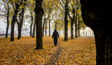 Mildt og grått – kulda holder seg unna