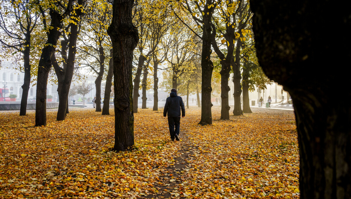 Mildt og grått – kulda holder seg unna