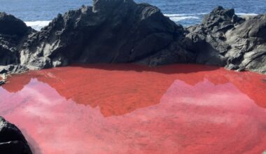 Mystisk norsk tjern skifter farge: Forskere avslører årsaken