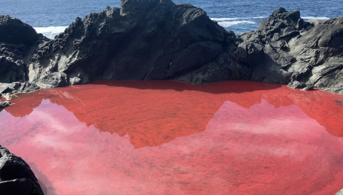 Mystisk norsk tjern skifter farge: Forskere avslører årsaken