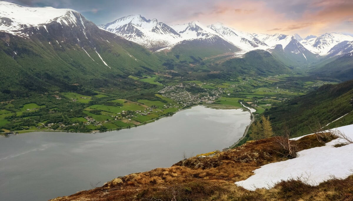 Helomvending: Trekker saken