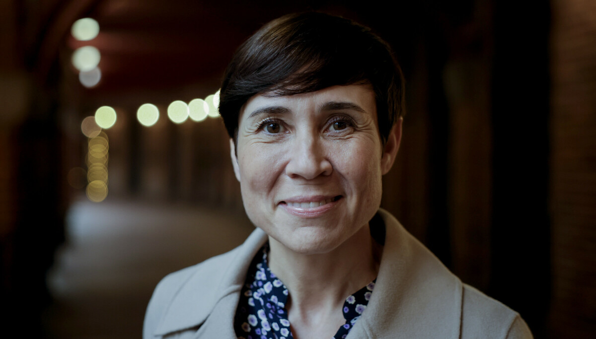 - Har sett hva det innebærer