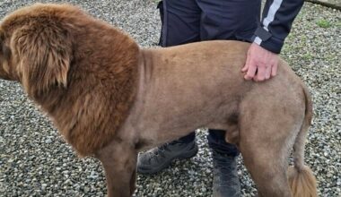 - Trodde vi så syner