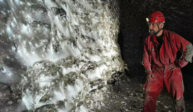 Kan være verdens største