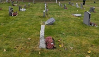 - Veltet, knust og revet opp - Dagbladet