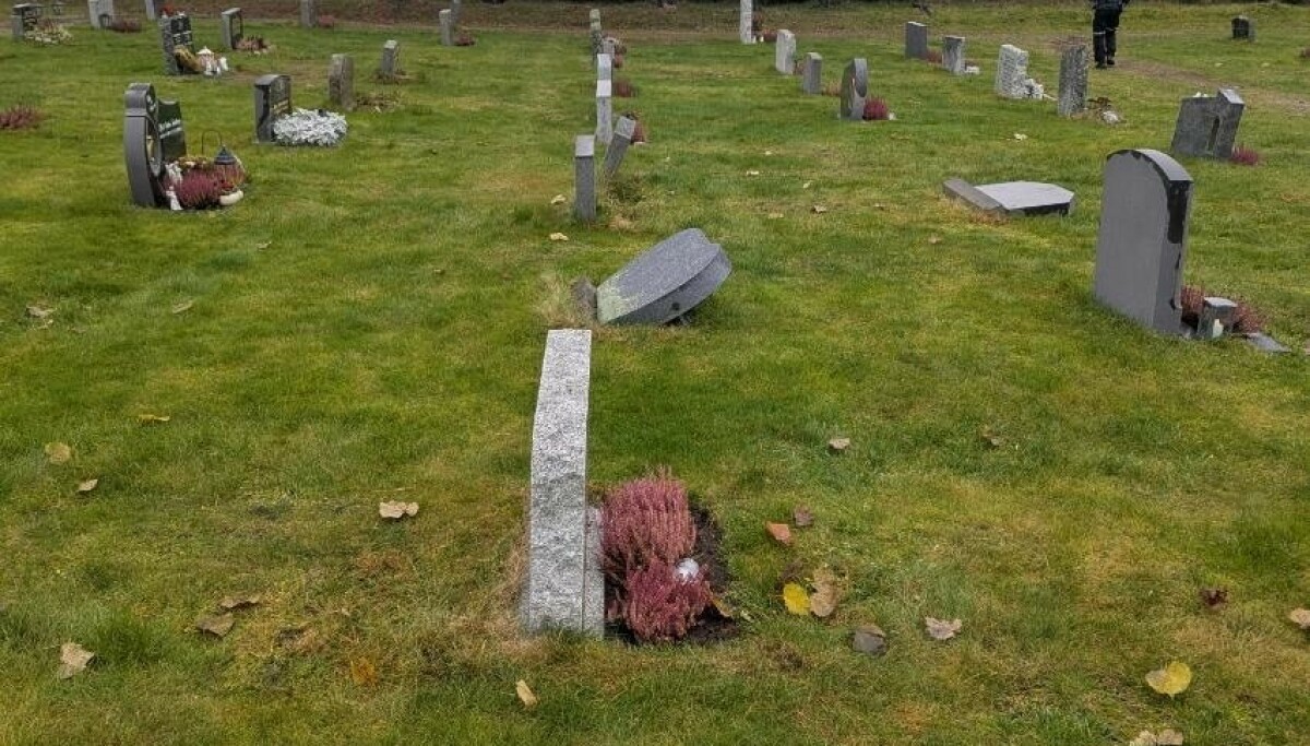 - Veltet, knust og revet opp - Dagbladet