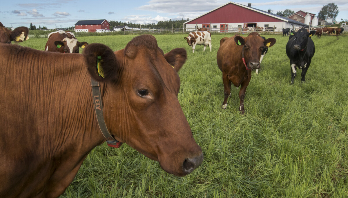 Stanser bruk umiddelbart