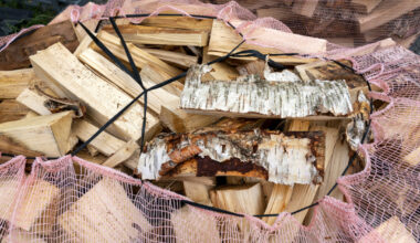 Mild høst og Norgespris påvirker vedsalget