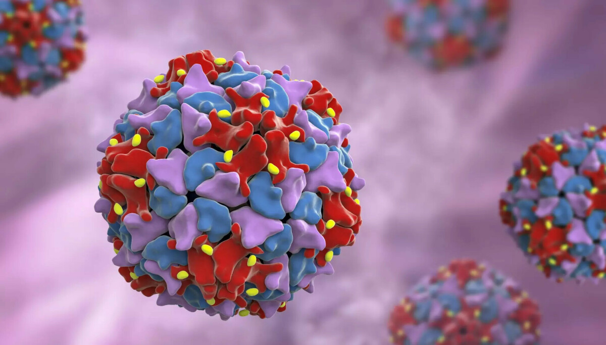 Vilt poliovirus påvist i Tyskland