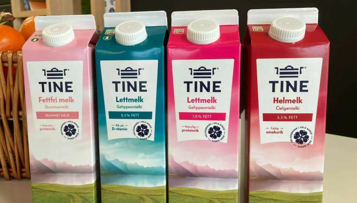 Uro i Danmark får Tine til å stoppe Bovaer – Frp sier nei til metanhemmere