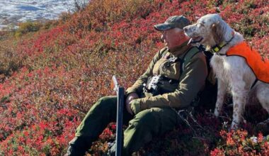 - Fullstendig desperat