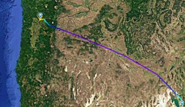 Flypassasjer tatt med kjøttøks