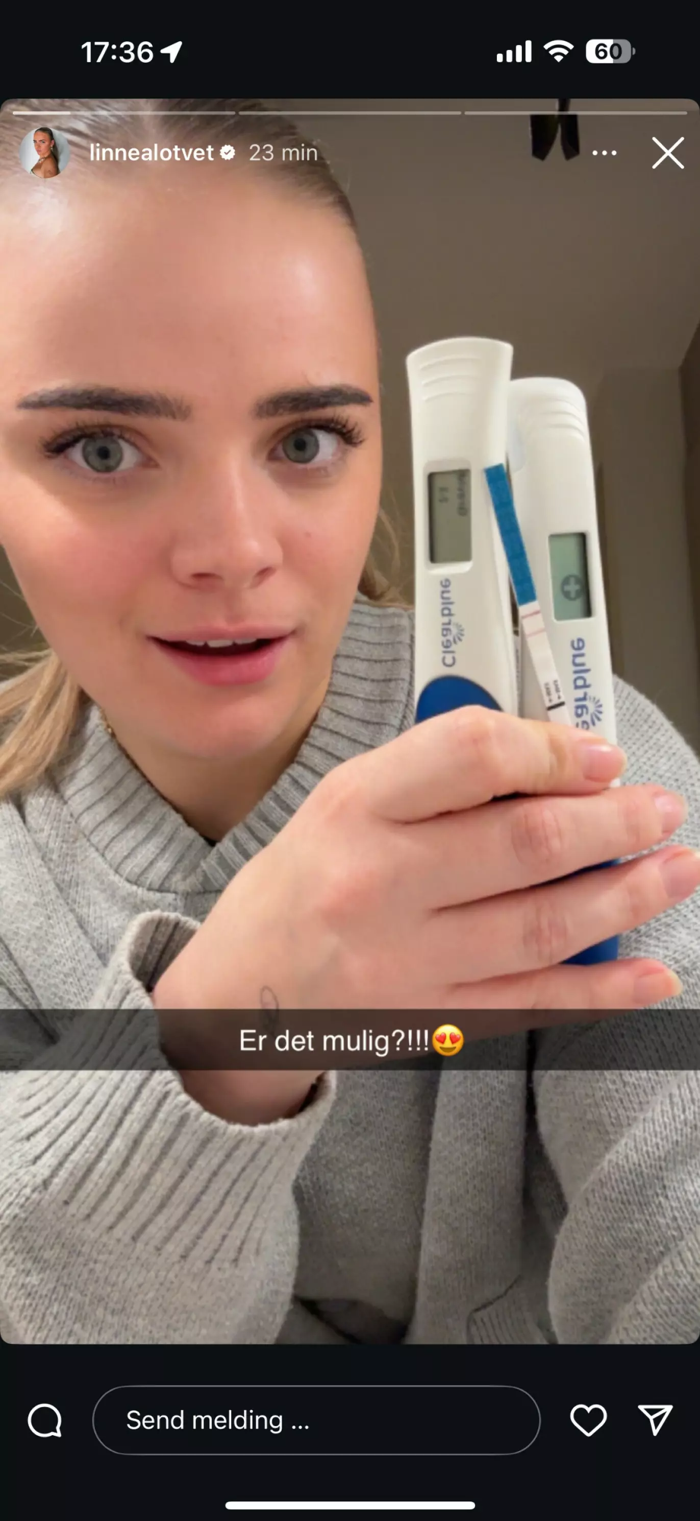 Foto: Instagram @linnealotvet