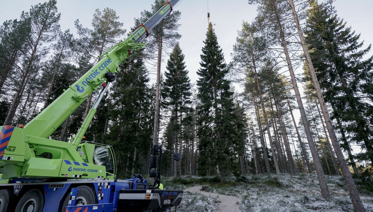 Ekspert hyller London-grana