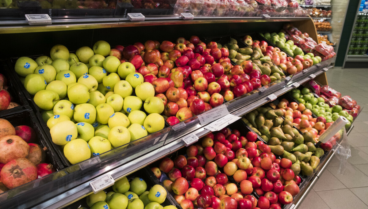 Dramatisk fall i importen av israelsk frukt og grønt til Norge