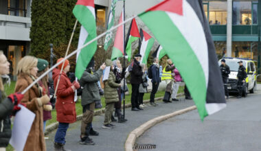 - Det er helt meningsløst