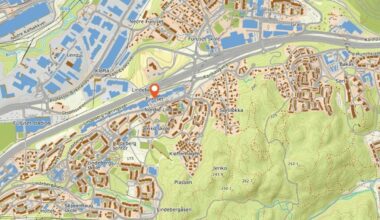 Reagerer etter hundeangrep: - Var sikker på å bli drept