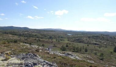 Nesten halvparten rødlistet