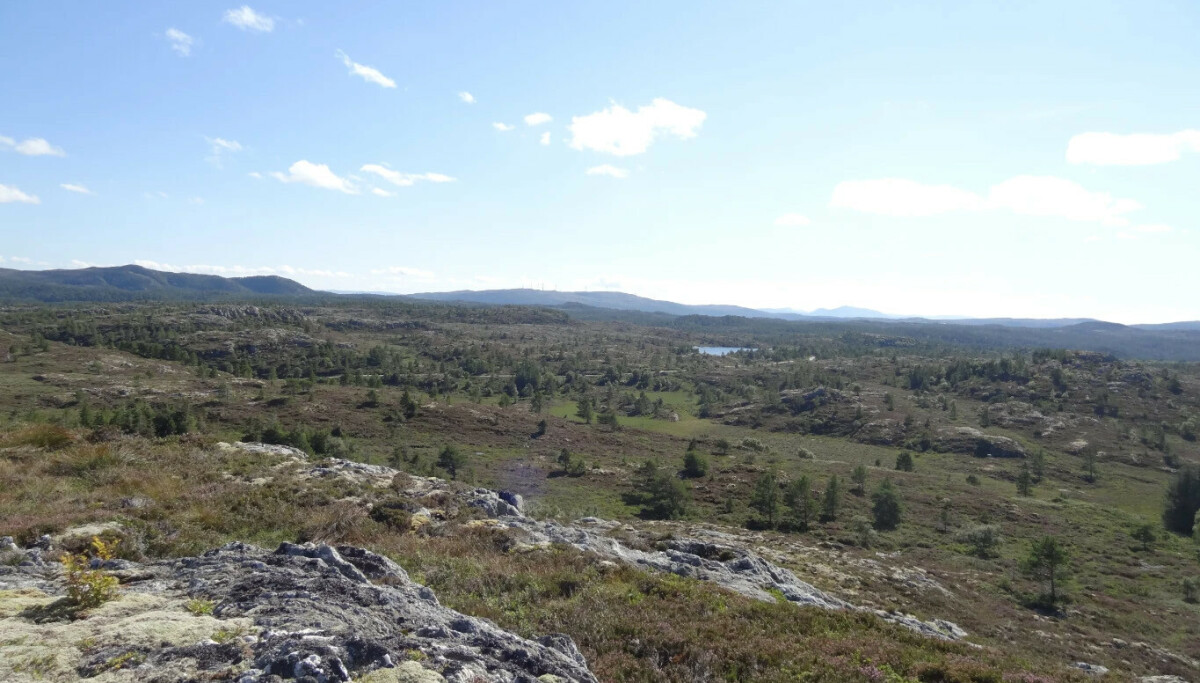 Nesten halvparten rødlistet