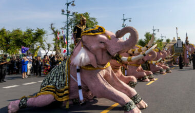 Rosa elefanter marsjerte