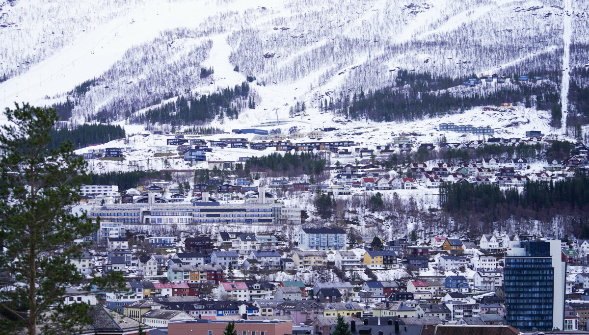 Krever hane fjernet eller lydisolert